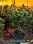 Page: - 15 | High Times