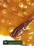 Page: - 16 | High Times