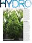 Page: - 56 | High Times