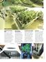 Page: - 58 | High Times