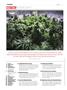 Page: - 6 | High Times