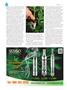 Page: - 66 | High Times