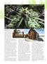 Page: - 74 | High Times