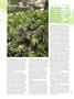 Page: - 76 | High Times