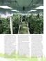 Page: - 78 | High Times