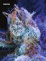 Page: - 79 | High Times