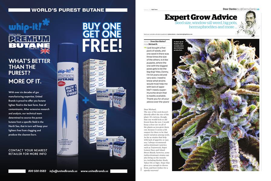 Expert Grow Advice