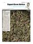 Page: - 121 | High Times