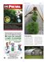 Page: - 52 | High Times