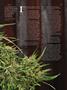 Page: - 73 | High Times