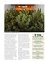 Page: - 74 | High Times