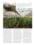Page: - 90 | High Times