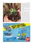 Page: - 92 | High Times