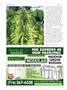 Page: - 94 | High Times