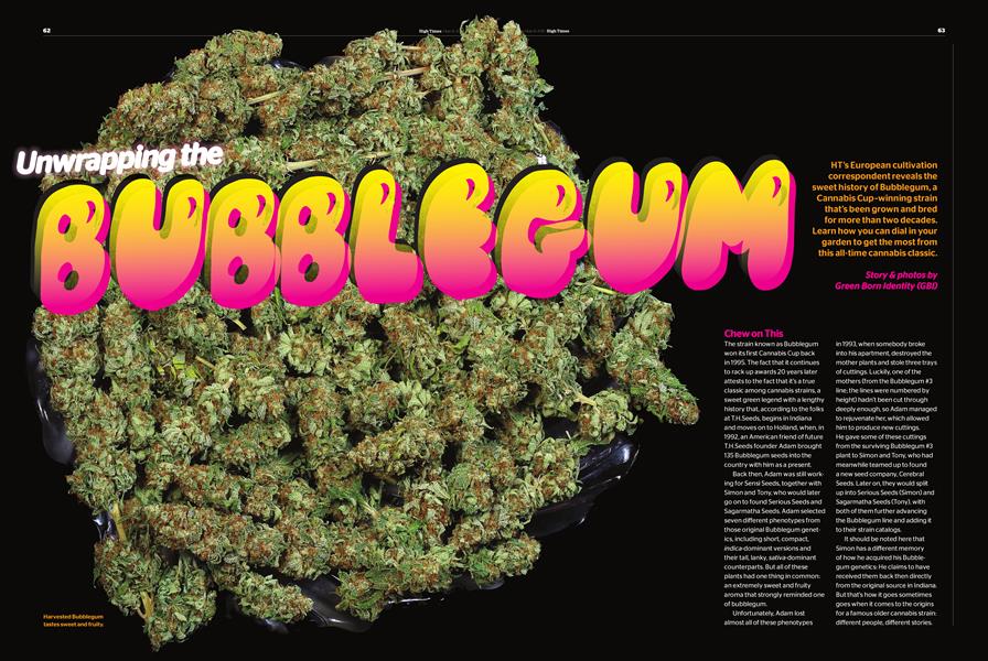 Unwrapping the BUBBLEGUM