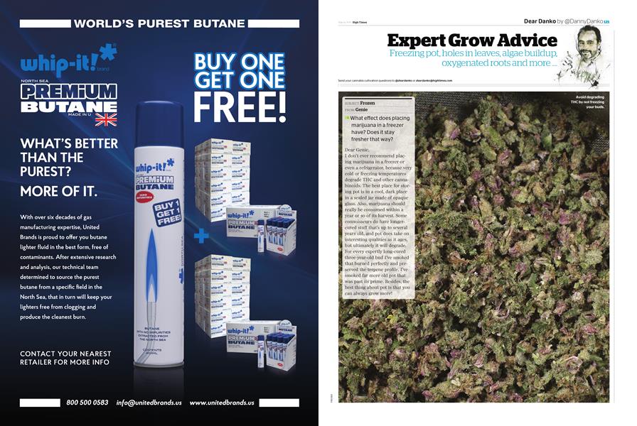Expert Grow Advice