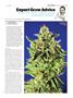 Page: - 123 | High Times