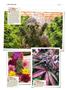 Page: - 146 | High Times