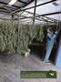 Page: - 15 | High Times