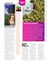 Page: - 26 | High Times
