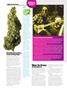 Page: - 28 | High Times