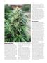 Page: - 58 | High Times