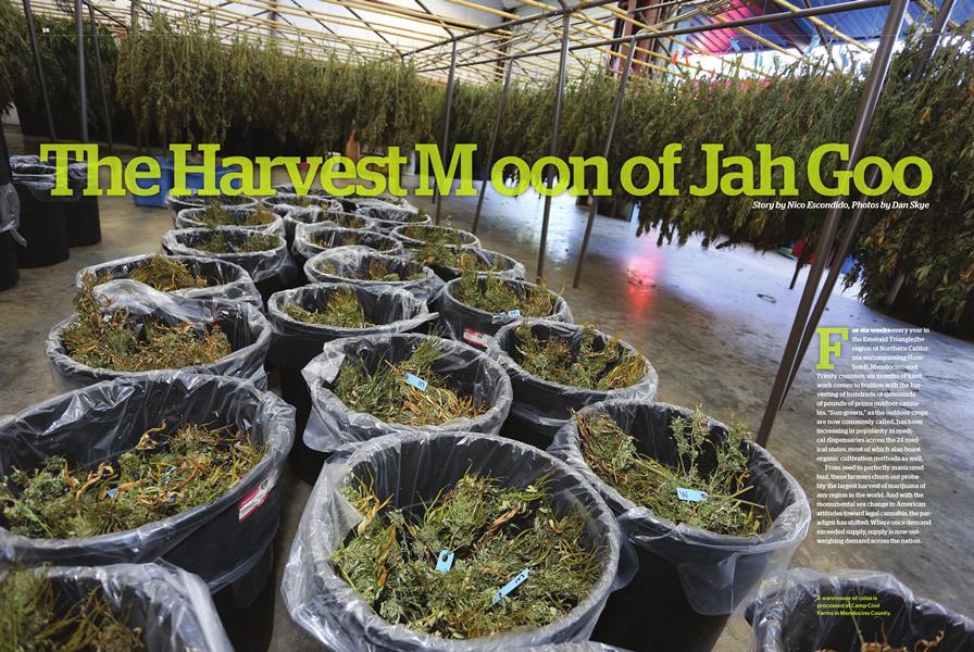 The Harvest Moon of Jah Goo