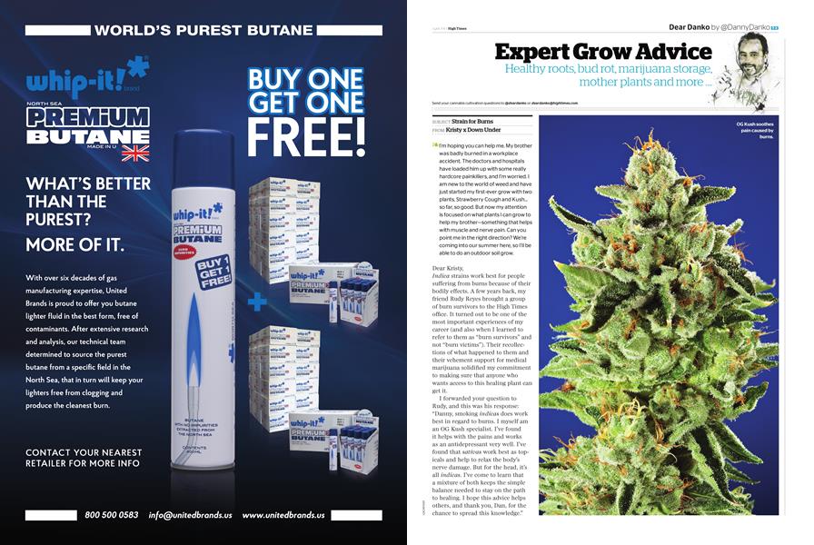 Expert Grow Advice