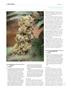 Page: - 120 | High Times