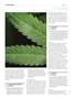 Page: - 122 | High Times