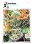 Page: - 144 | High Times