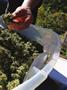 Page: - 19 | High Times