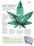 Page: - 33 | High Times