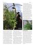 Page: - 48 | High Times