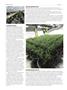 Page: - 50 | High Times