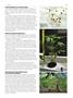 Page: - 55 | High Times