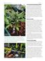 Page: - 56 | High Times