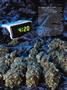Page: - 66 | High Times
