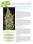 Page: - 78 | High Times
