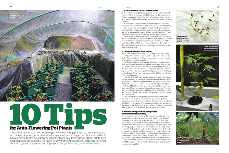 10 Tips for Auto-Flowering Pot Plants
