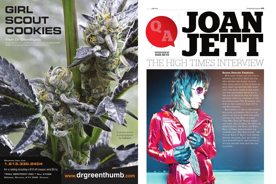 THE HIGH TIMES INTERVIEW JOAN JETT