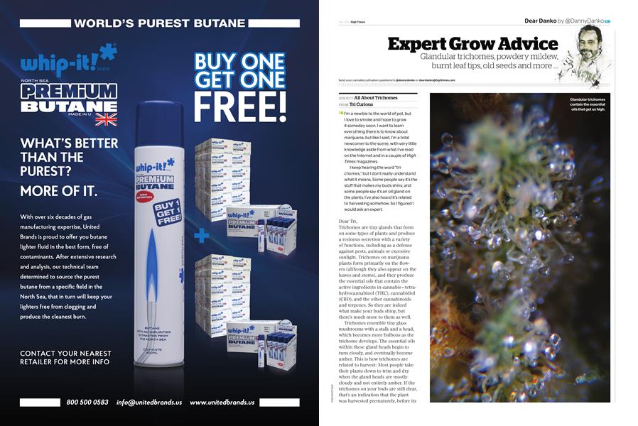 Expert Grow Advice