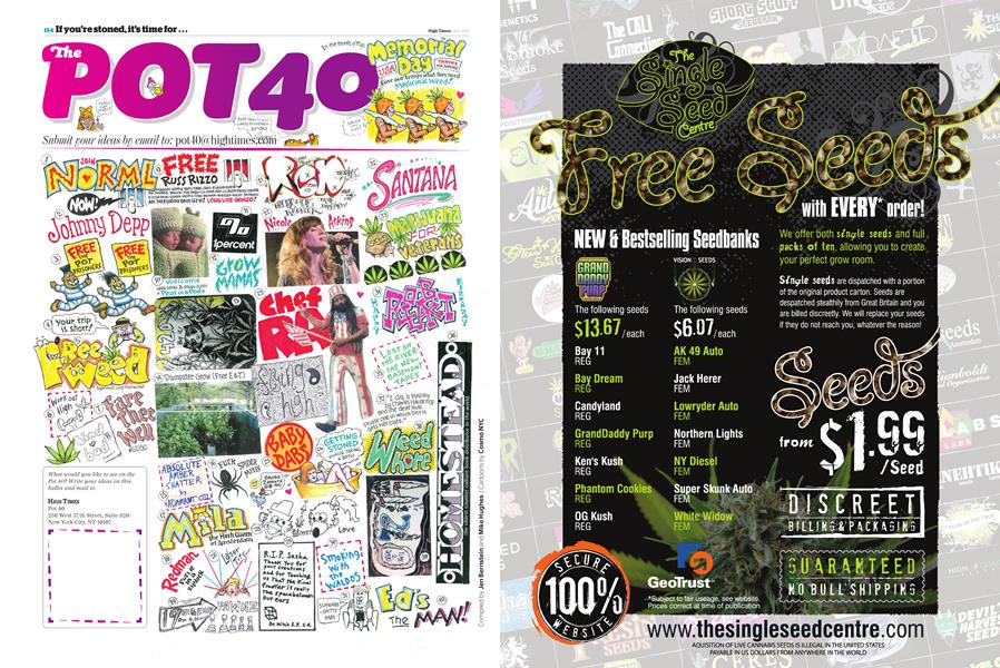 The POT 40