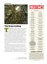 Page: - 10 | High Times
