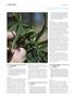 Page: - 122 | High Times