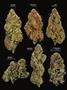Page: - 14 | High Times