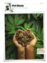 Page: - 144 | High Times