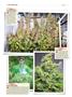 Page: - 146 | High Times
