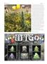 Page: - 66 | High Times