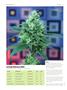 Page: - 72 | High Times